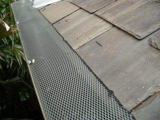 Gutter guard in Correll Park